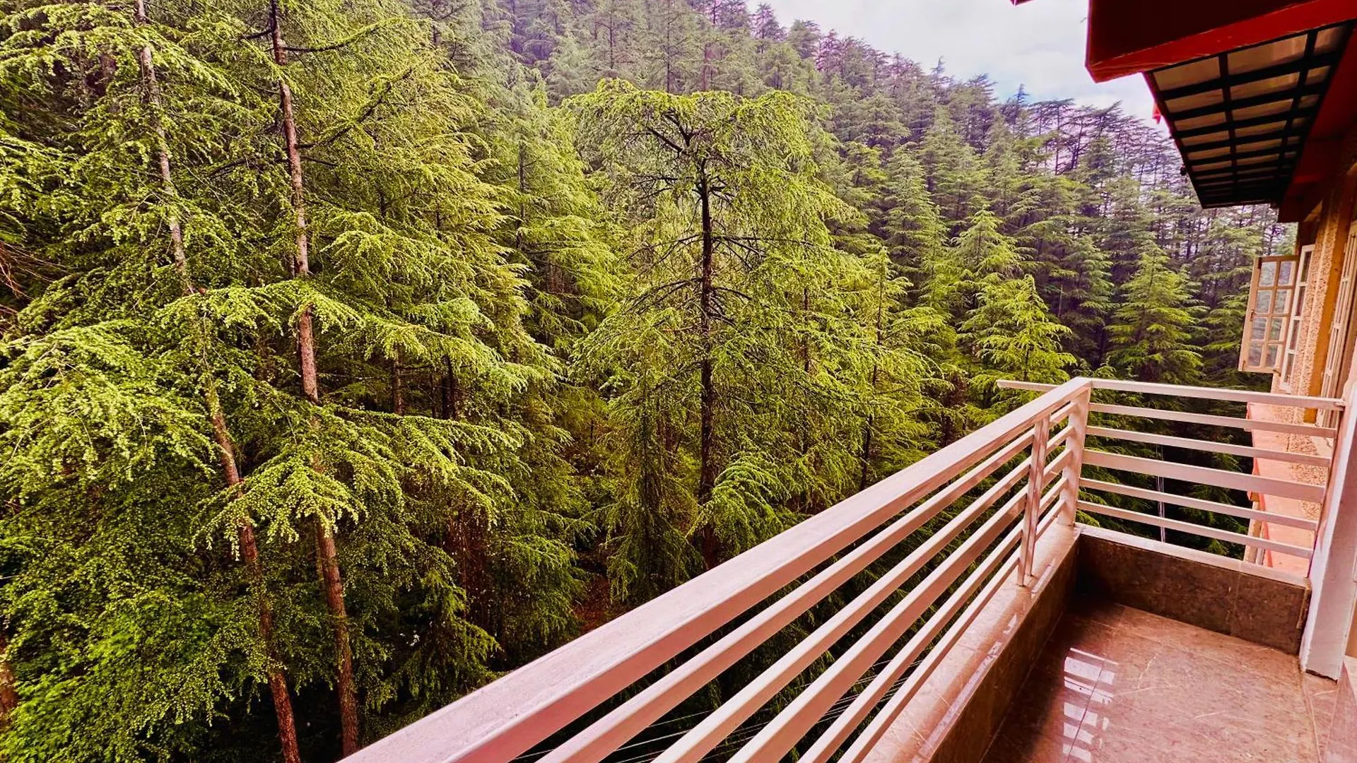 **** Hotell Staynest Bnb In City Centre - 3 Bhk Apartments - Private Parking - Balcony View Shimla Indien