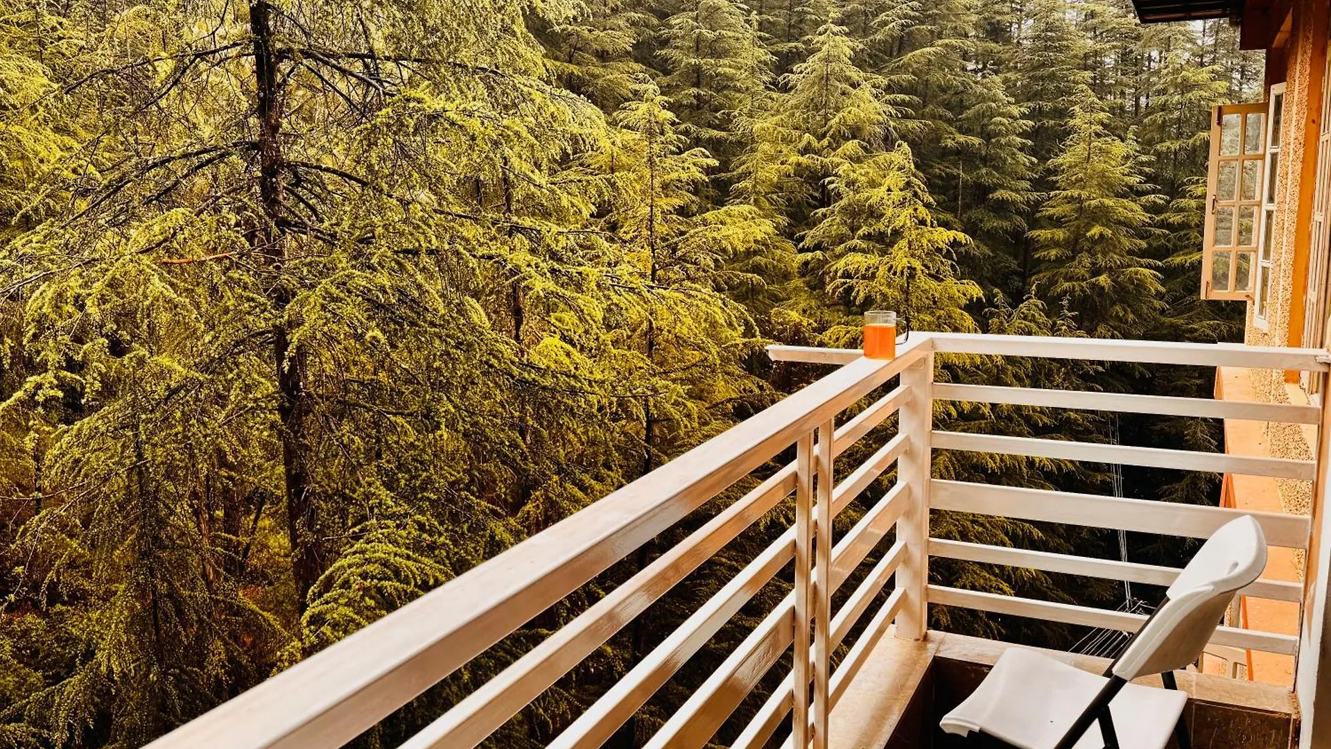 Hotell Staynest Bnb In City Centre - 3 Bhk Apartments - Private Parking - Balcony View Shimla